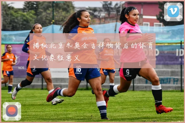 揭秘北京冬奥会吉祥物背后的体育文化象征意义