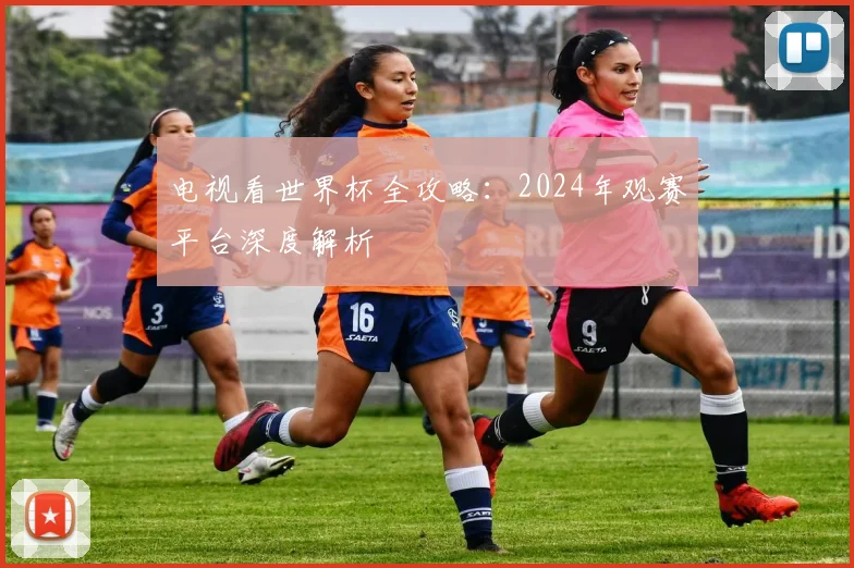电视看世界杯全攻略:2024年观赛平台深度解析