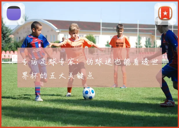 专访足球专家：伪球迷也能看透世界杯的五大关键点
