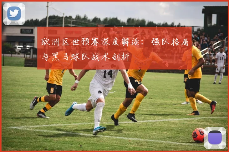 欧洲区世预赛深度解读：强队格局与黑马球队战术剖析
