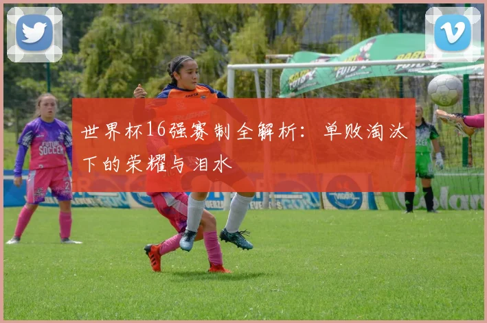 世界杯16强赛制全解析：单败淘汰下的荣耀与泪水