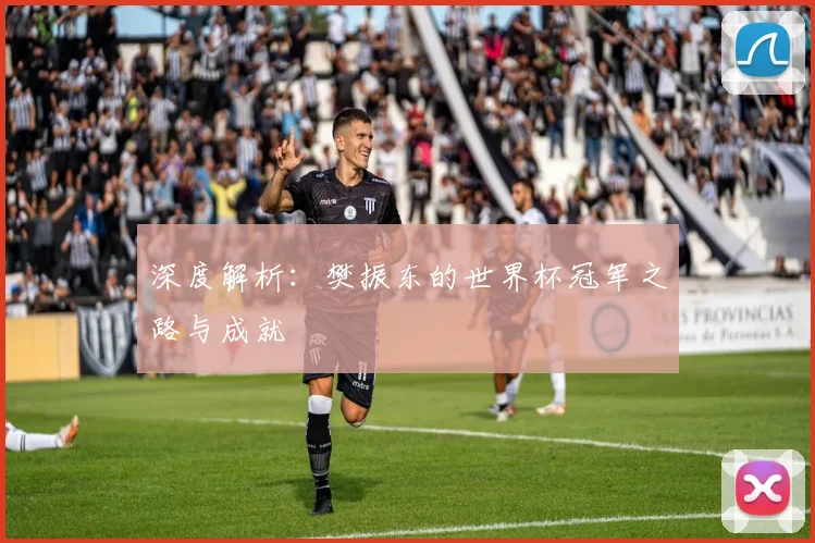 深度解析：樊振东的世界杯冠军之路与成就