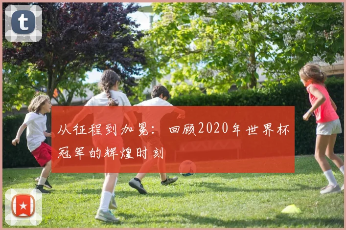 从征程到加冕:回顾2020年世界杯冠军的辉煌时刻