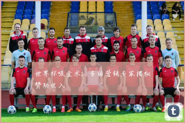 世界杯吸金术：专访营销专家揭秘赞助收入