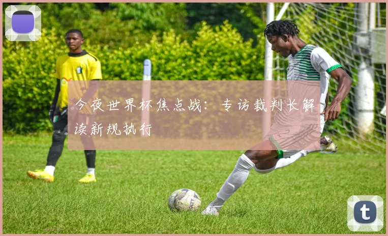 今夜世界杯焦点战：专访裁判长解读新规执行