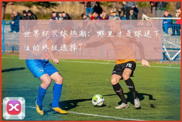 世界杯买球热潮：哪里才是球迷下注的终极选择？