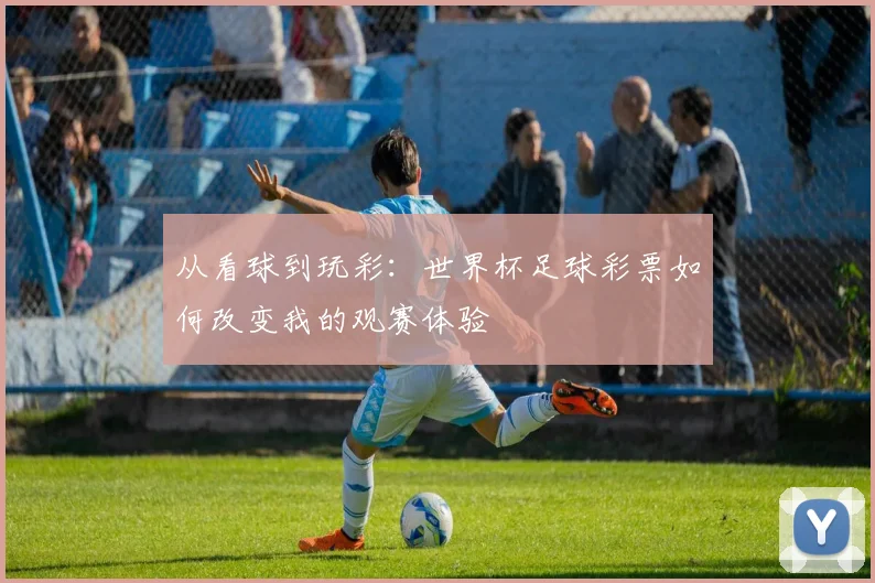 从看球到玩彩:世界杯足球彩票如何改变我的观赛体验