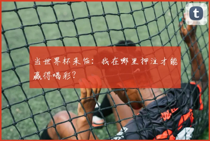 当世界杯来临：我在哪里押注才能赢得喝彩？
