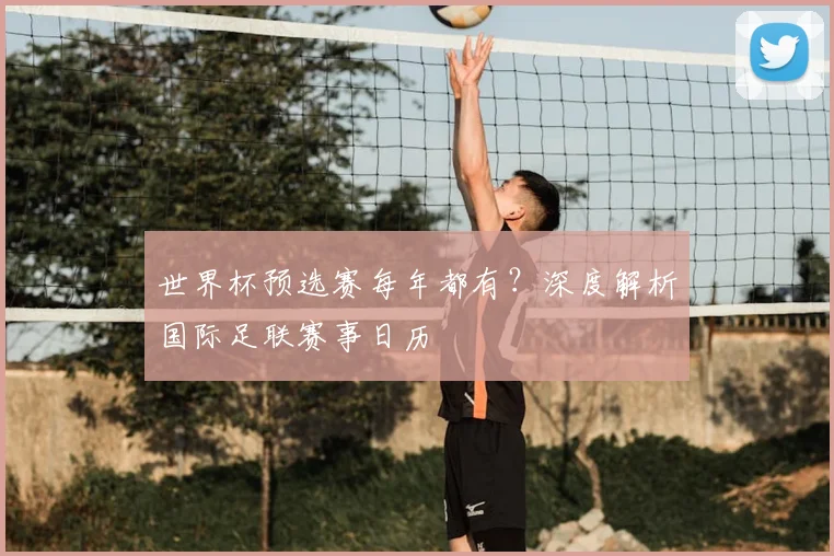 世界杯预选赛每年都有？深度解析国际足联赛事日历