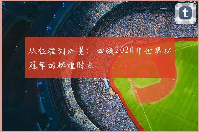 从征程到加冕：回顾2020年世界杯冠军的辉煌时刻