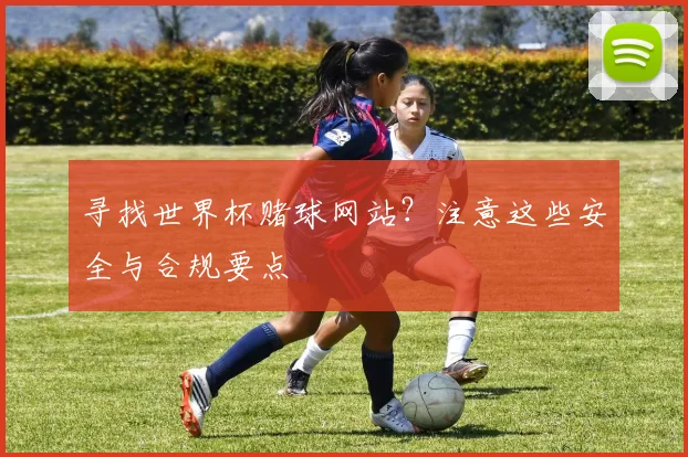寻找世界杯赌球网站？注意这些安全与合规要点