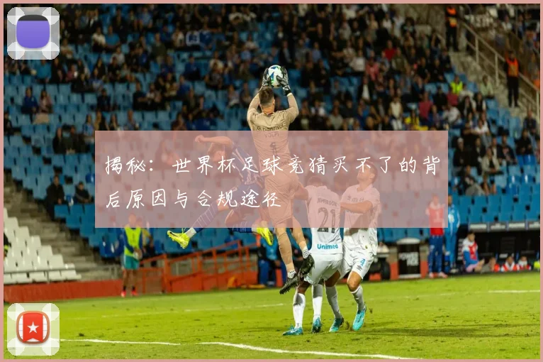 揭秘：世界杯足球竞猜买不了的背后原因与合规途径