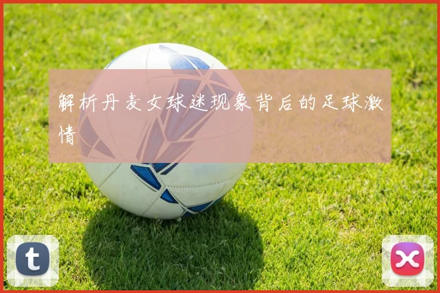 解析丹麦女球迷现象背后的足球激情