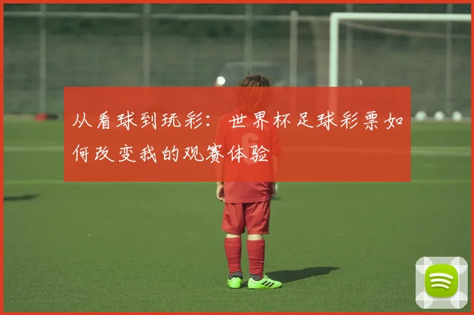 从看球到玩彩:世界杯足球彩票如何改变我的观赛体验