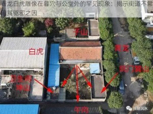 青龙白虎雕像在暮穴与公堂外的罕见现象：揭示街道不常用其驱邪之因