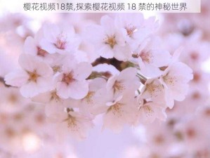 樱花视频18禁,探索樱花视频 18 禁的神秘世界