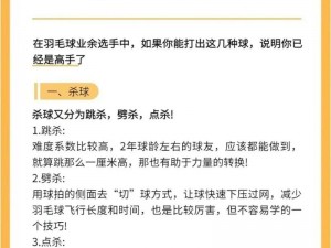 羽毛球高手竞技赛场注意事项：专注策略、心态与技巧提升之道