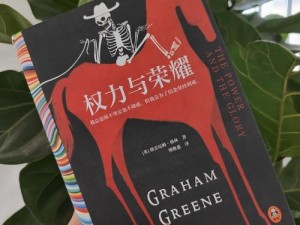 权力与荣耀游戏中期攻略：全面解析玩法技巧，助你荣耀登顶的游戏进阶秘籍