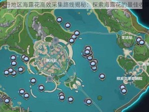 原神枫丹地区海露花高效采集路线揭秘：探索海露花的最佳收集攻略