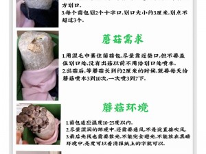 迷你世界蘑菇种植秘籍：掌握正确步骤，轻松培育优质蘑菇