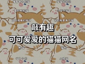 猫咪海外地域永久网名;猫咪海外地域永久网名：我与猫咪的异国之旅