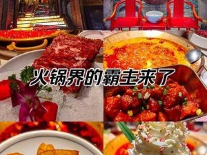 今晚火锅电脑版：下载安装指南及美食享受一站式攻略