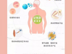 2024GY钙站—2024GY 钙站：一场关于钙的科学盛宴