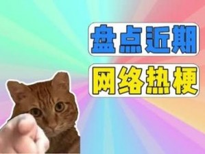 Xvideos 网站的网络热梗盘点