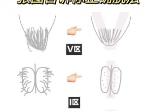阴部毛多可能会影响个人生活，选择一款安全有效的阴部脱毛产品至关重要