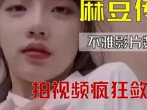 麻豆视频一区二区 麻豆视频一区二区，究竟有何不同？