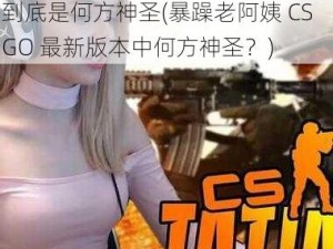 这位暴躁老阿姨CSGO最新版本中到底是何方神圣(暴躁老阿姨 CSGO 最新版本中何方神圣？)