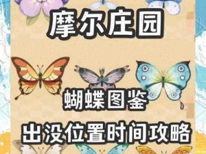 摩尔庄园耀变凤蝶捕捉攻略：揭秘神秘位置，探寻美丽蝴蝶踪迹