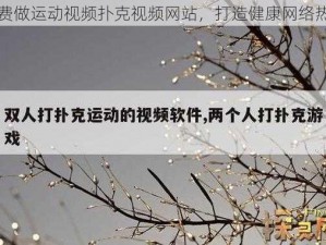 免费做运动视频扑克视频网站，打造健康网络热点