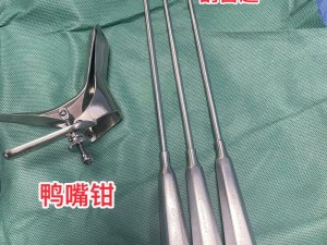 真人妇科检查 138gb，女性健康自检必备神器