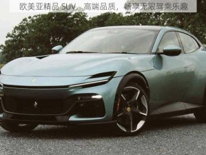 欧美亚精品 SUV，高端品质，畅享无限驾乘乐趣