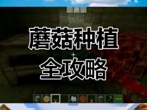 我的世界蘑菇种植全攻略：生长条件与方法步骤详解