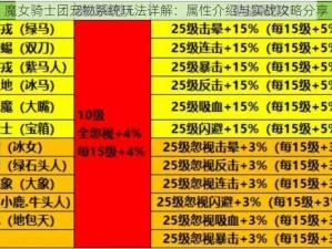 魔女骑士团宠物系统玩法详解：属性介绍与实战攻略分享