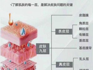 上面膜下面膜53分钟 上面膜下面膜 53 分钟，肌肤会发生什么变化？