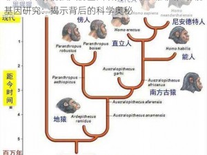 非洲人幸功能强大的基因研究—非洲人强大性功能基因研究：揭示背后的科学奥秘