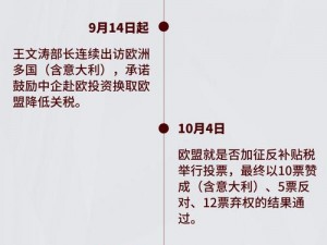 欧陆风云四中关税作用的深度解析心得与探索之旅