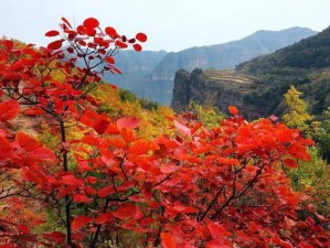 午夜成人免费视频，海量资源，高清画质，无广告骚扰，让你尽情享受视觉盛宴