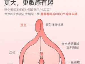 [娇小 6一 8一 7 交，高品质成人情趣用品，让你享受极致愉悦]