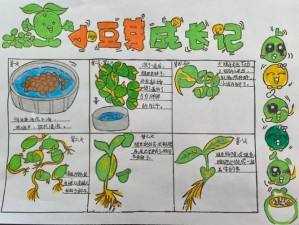 植物成长之路：种子萌发、幼苗生长、开花结果及成熟老化四阶段探究