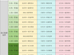 梦幻西游手游九转天阶先锋三挑战攻略：制胜战术详解与技能解析