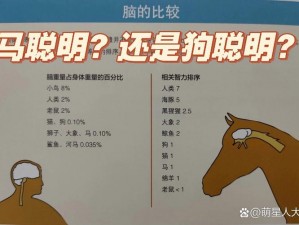 人or马or狗_人、马和狗，谁更聪明？