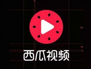 中国老少配video：一款专为成人设计的视频产品