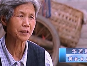 中国老太大毛茸茸视频 中国老太大毛茸茸视频：探索老年女性的性魅力