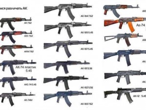 AK系列步枪之巅峰：探究最强型号的综合性能与特点分析