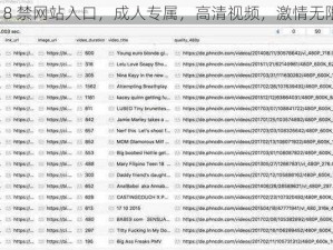 18 禁网站入口，成人专属，高清视频，激情无限