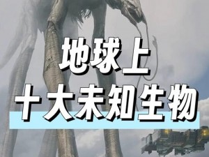 天天幻灵地下矿洞：探险、寻宝与未知世界的神秘之门